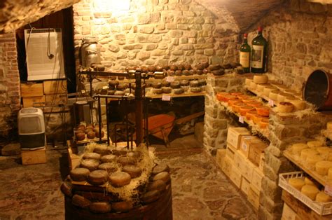 The former needs to be more humid in. Cheese cellar in Tuscany | Root cellar, Cellar design, Cellar