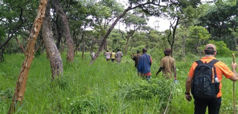 Maybe you would like to learn more about one of these? Agri-feasibility Study - FGM International