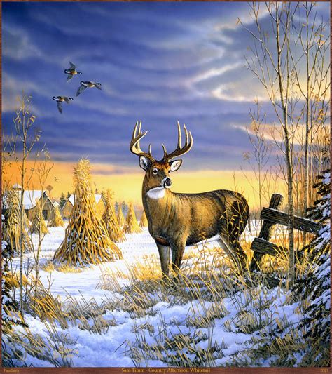 Country Afternoon Whitetail Deer Painting By Sam Timm