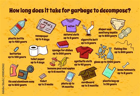 How Long Does It Take Garbage To Decompose Vector Ecology Poster For