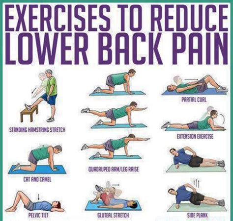 7 Core Exercises For Low Back Pain Important Pain