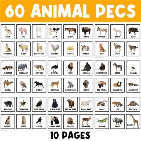 Top 135 Zoo Animals Names List