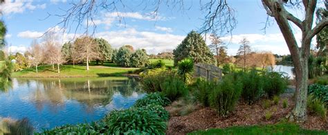 紐西蘭 北島自由行2020 奧克蘭市中心30分鐘車程 奧克蘭植物園auckland Botanic Garden 感受櫻花盛放的美境 齊