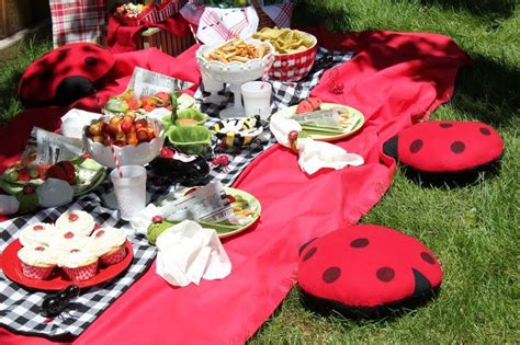 When Brenna Is A Bit Older Well Have A Lady Bug Picnic How Cute Is