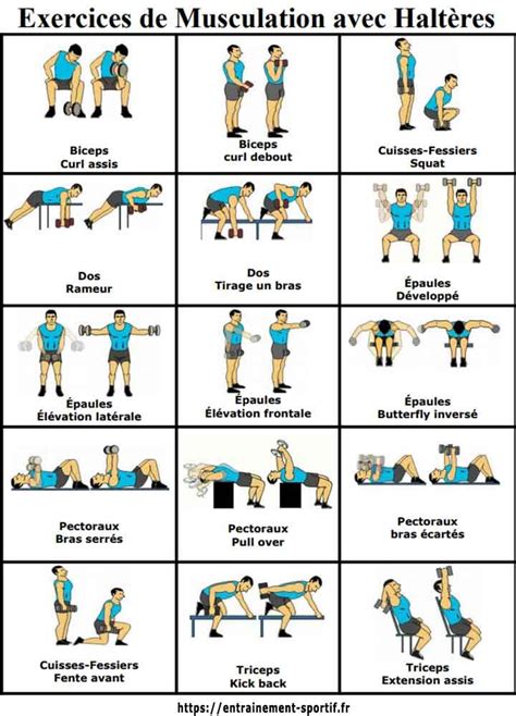 15 Dumbbell Exercises Musculation Avec Haltères Programme