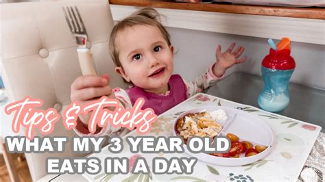 What My 3 Year Old Eats In A Day Tips On How I Get My Toddler To Eat