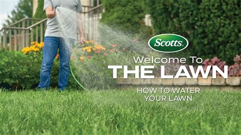 Welcome To The Lawn How To Water Your Lawn Youtube