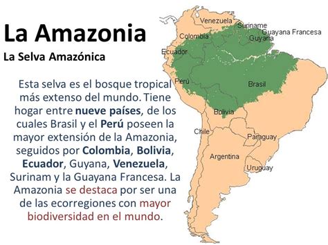 Plantas Y Acuarios Amazonas Ubicacion De La Cuenca Del Amazonas
