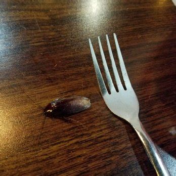 Acapulco bar & grill is located at 430 green springs hwy, birmingham, al. Acapulco Bar & Grill - 57 Photos & 43 Reviews - Mexican ...
