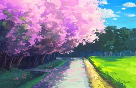 Anime Cherry Blossom Tree Background