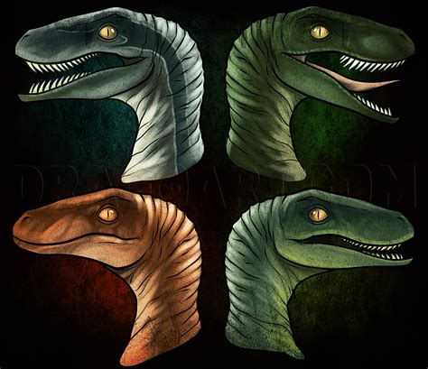 How To Draw The Raptor Squad From Jurassic World Step By Step Drawing Guide By Dawn Dragoart