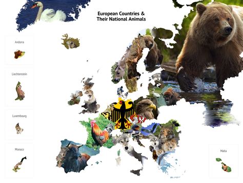 European Countries And Their National Animals The Dialogue