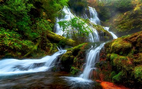 Natural Beauty Panther Creek Falls Columbia River District Skamejnija