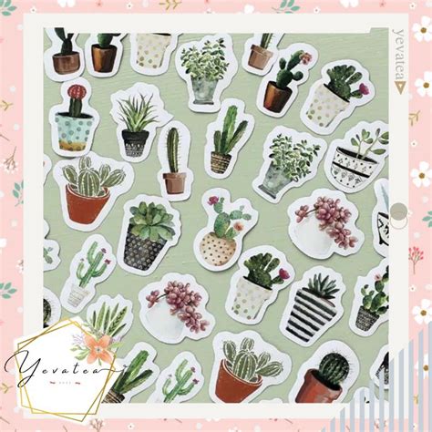 Jual Stiker Kaktus Sticker Cactus Shopee Indonesia