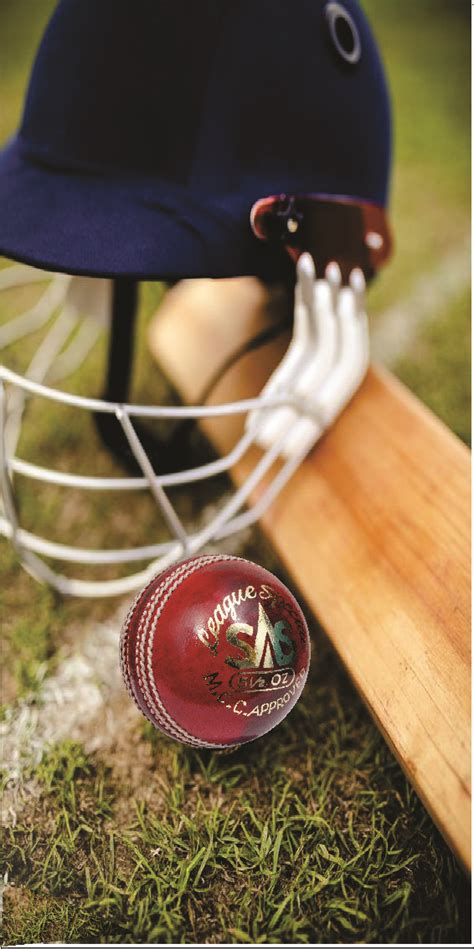 Safe And Sound Cricket Bat Balls Helmet Manufacture Sialkot Pakistan