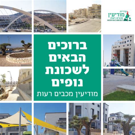 * בכפוף לתקנון ותנאי השירות. העבודות שלנו | סטודיו 7 - עיצוב ומיתוג אפקטיבי | עיצוב ...