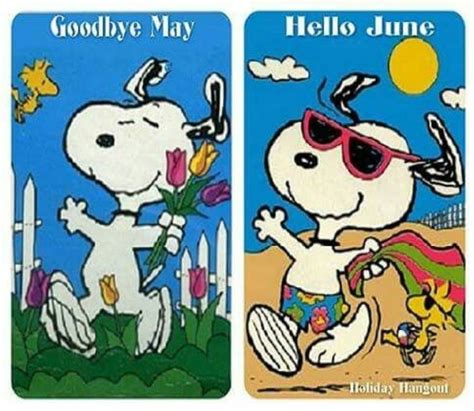 Pin By Darla Mezei On Snoopy And The Peanuts Gang Hello June Snoopy