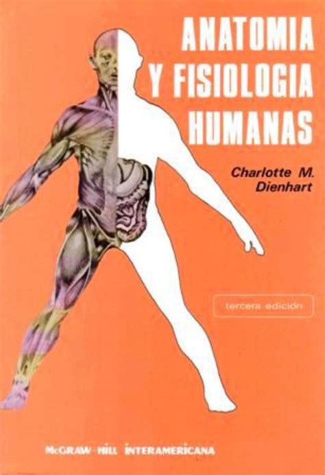 Fisiologia Introdu O Fisiologia Humana I Hot Sex Picture