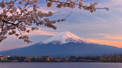 Hd Wallpaper Mt Fuji Japan Autumn Forest The Sky Leaves Snow