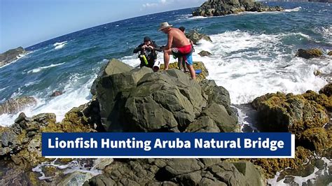 Aruba Natural Pool Droned Youtube
