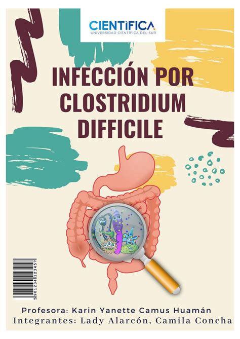 Infecci N Por Clostridium Difficile By Camila Concha Ruiz Flipsnack