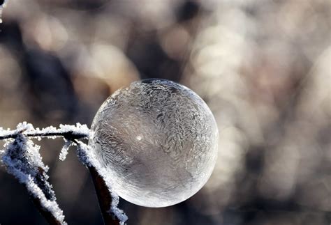 Kostenlose Bild Makro Detail Frost Natur Eis Winter Schnee Kugel