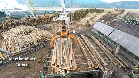 Logs To Lumber An Aerial Journey Through The Sawmill Youtube
