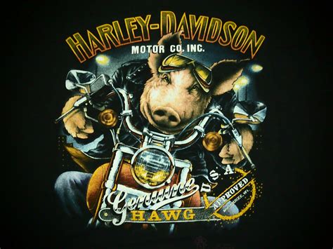 I found out at this is a new harley davidson bike. 49+ 3D Harley Davidson Wallpaper on WallpaperSafari