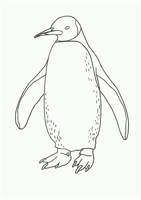 Dessins Gratuits à Colorier Coloriage Pingouin à imprimer
