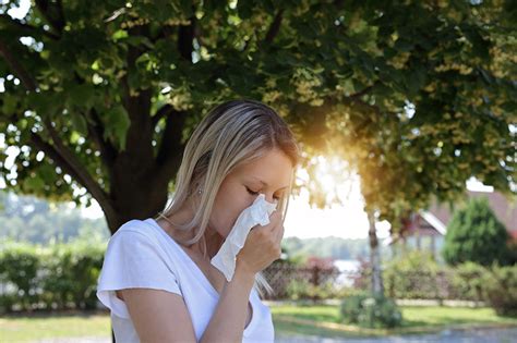 How To Tell If You Have Summer Allergies Sand Canyon Urgent Care