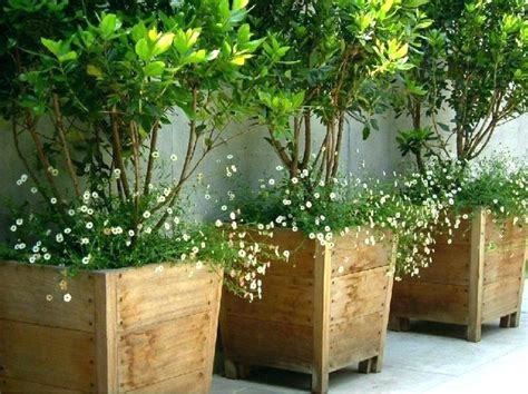 Extra Large Planters For Outside Container Garden Pots Planting Cheap