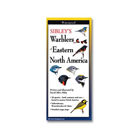 Folding Field Guide Sibleys Warblers Of Eastern North America · The