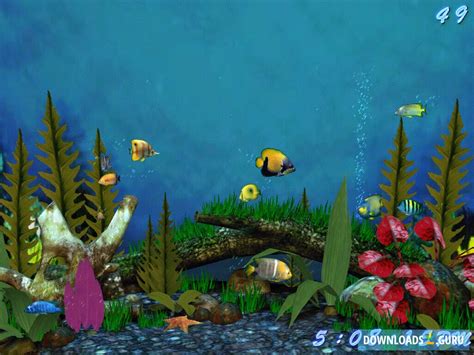 Download Fish Aquarium 3d Screensaver For Windows 111087 Latest