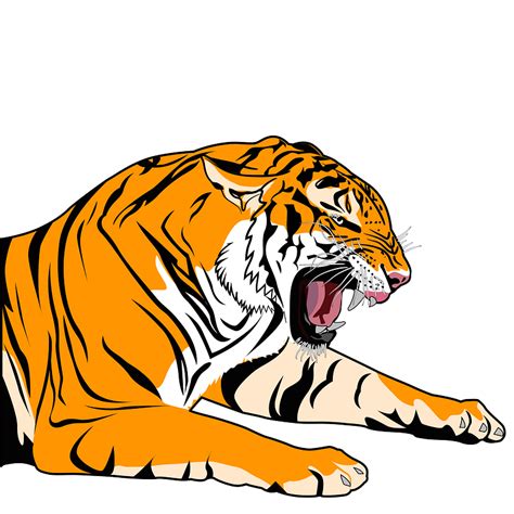 Growling Tiger Clipart Free Download Transparent Png Creazilla