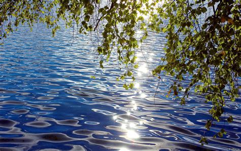 Sunshine Water Reflection Wallpaper 2560x1600 32201
