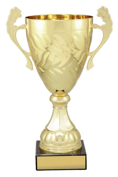 Metal Trophy Cups Gold Or Silver 6 Sizes Tc23 X3692 X2697 Mid