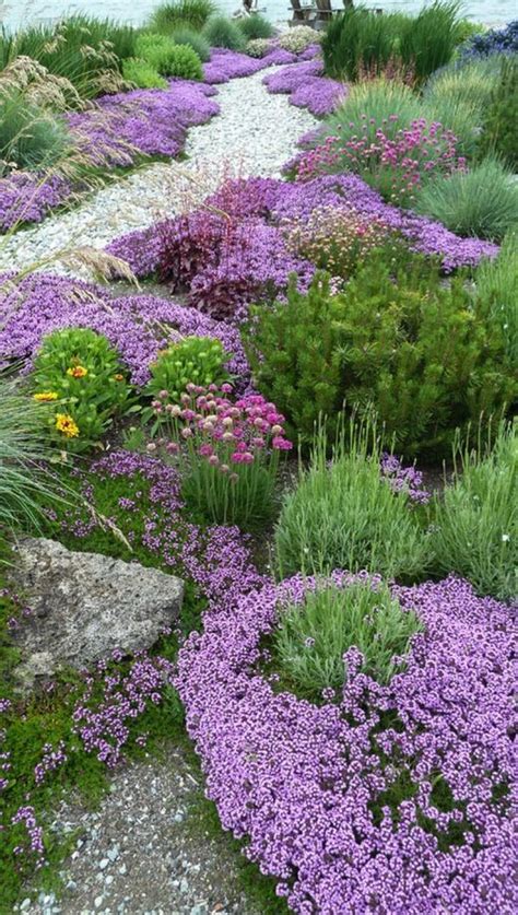 Zengardenslovers Pathway Of Beautiful Flowers
