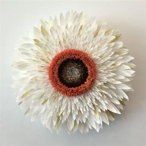 New Giant Paper Flower Sculptures By Tiffanie Turner Colossal