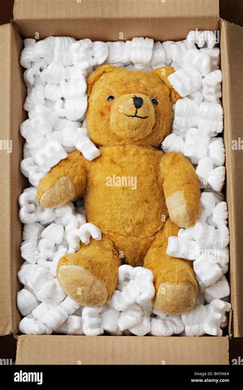 Old Teddy Bear In A Cardboard Box With Styrofoam Packaging Stock Photo