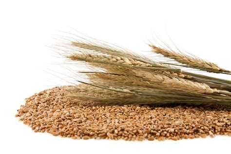 Swap Out Refined Grains For Whole Grains Dr Ann Wellness