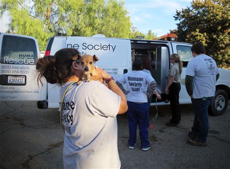 Low cost pet vaccinations including dog vaccination, puppy vaccinations, and cat vaccinations from licensed vets. Five Dollar Friday - Eight Dogs Rescued in Ventura County ...