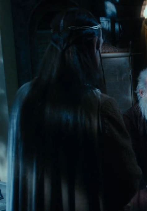 A View Of Lord Elronds Hair And The Back Of His Circlet Thranduil