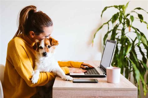 28 Home-Based Business Ideas for 2021