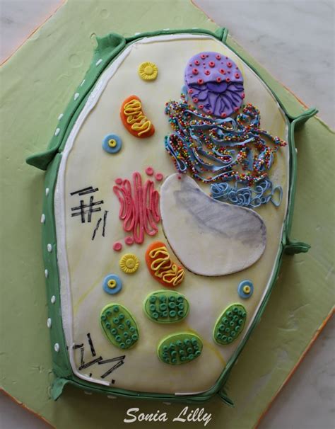 Plant Cell Cake By Me Pagessonias Cakes