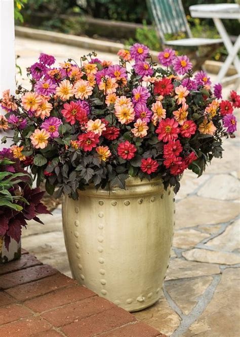 103 Best Images About Container Garden Recipes On
