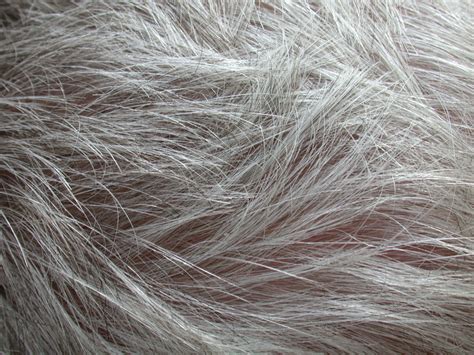 Imageafter Textures Human Hair Grey Old
