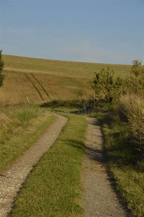 Country Road With Fields And Blue Sky Stock Image Image Of Running