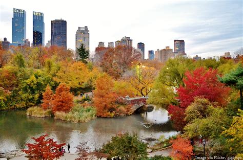 10 Best Places To See Fall Foliage In Central Park Page 7 Of 10