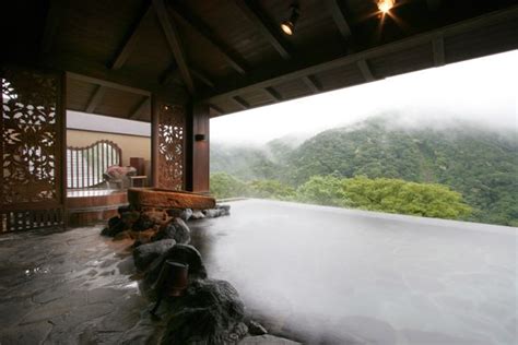Hakone Ginyu Japanese Hot Springs Hakone Onsen Japan