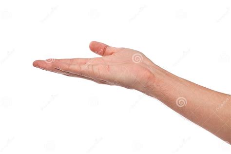 Open Palm Hand Gesture Of Male Hand Stock Image Image Of Palm Empty